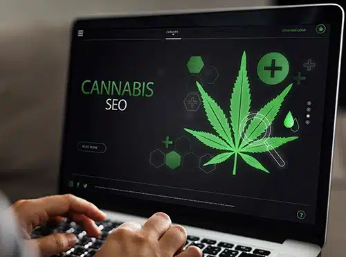 cannabis-seo-to-increase-sales-featured